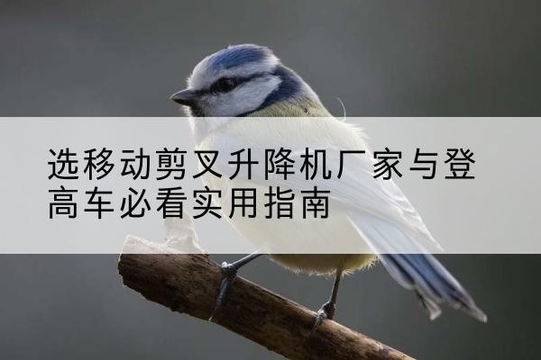 阜城电动升降机厂家-选移动剪叉升降机厂家与登高车必看实用指南