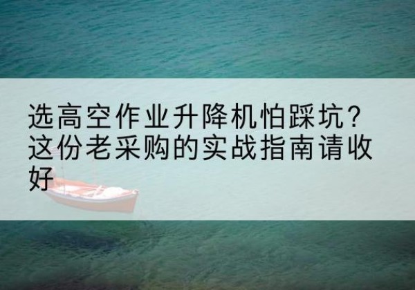 阜城高空作业升降机厂家推荐-选高空作业升降机怕踩坑？这份老采购的实战指南请收好