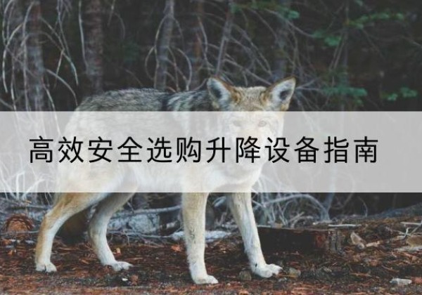阜城升降货梯厂家推荐-*安全选购升降设备指南