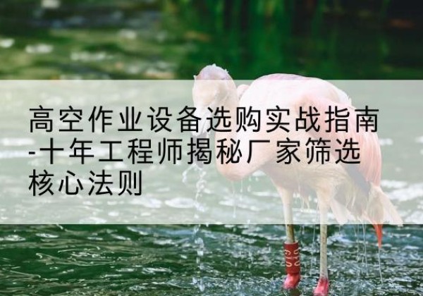 阜城剪叉式升降机厂家-高空作业设备选购实战指南-十年工程师揭秘厂家筛选核心法则